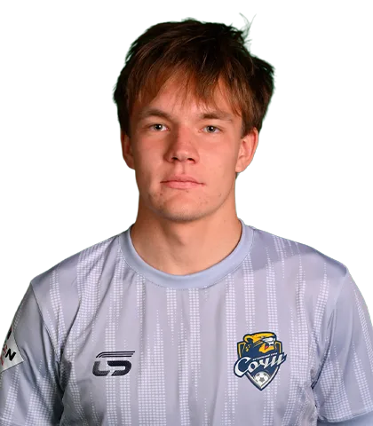 Янгаев Артур Дамирович